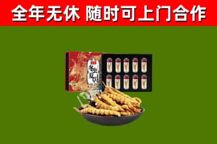 吴桥回收冬虫夏草价格